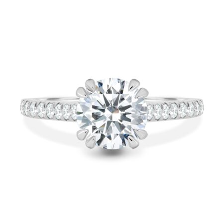 Amelia – Cathedral Pavé Round Solitaire with Hidden Halo
