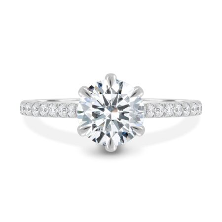 Briar – 6 Claw Pavé Cathedral Round Solitaire